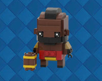 HOG RIDER